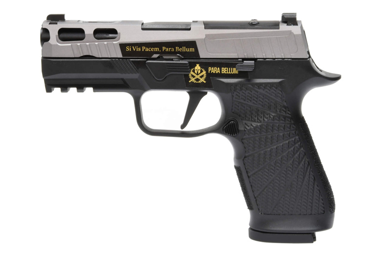 Para Bellum P320 PRO WC (Wilson combat) Custom 3.9 inch Titanium Gray